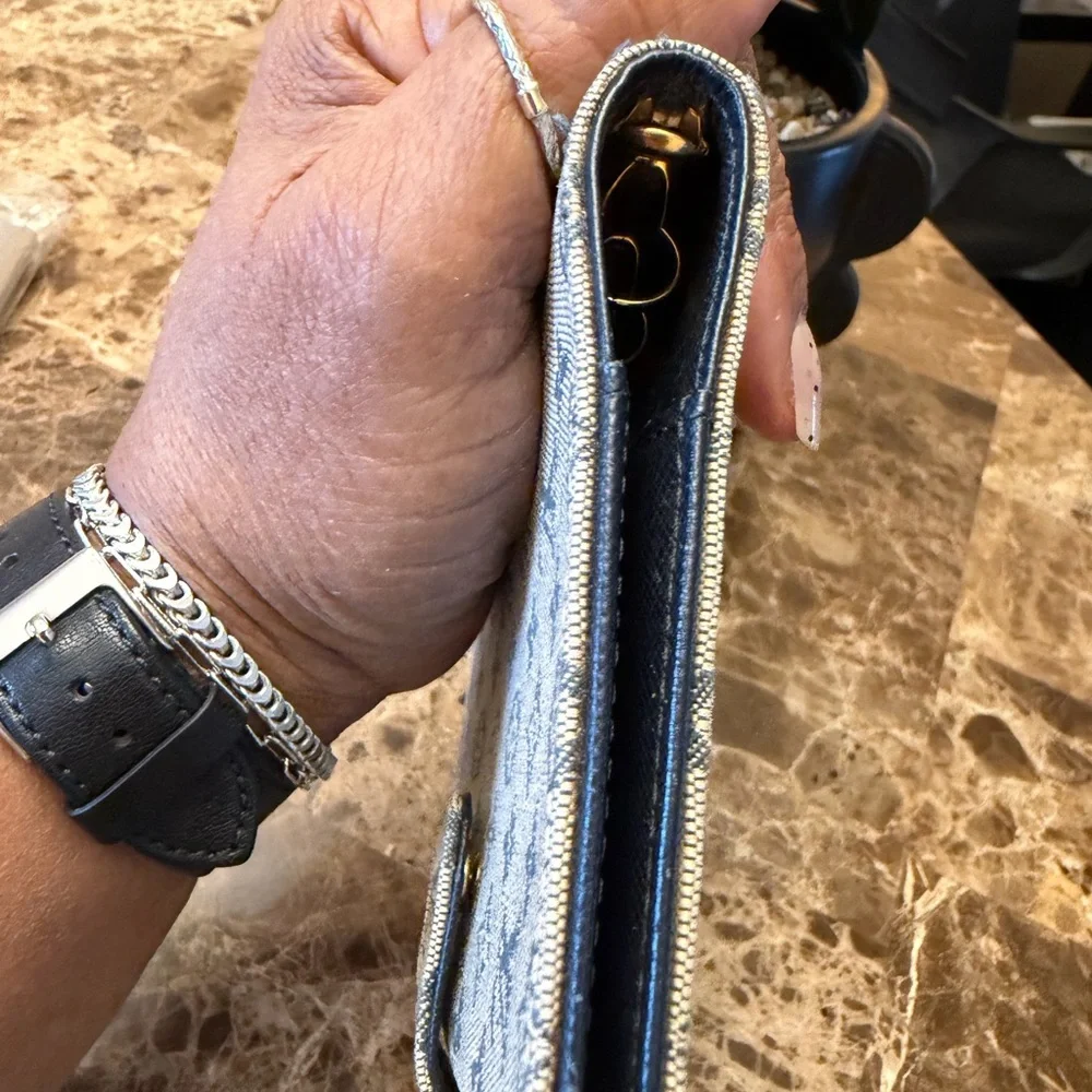 Louis Vuitton this lv